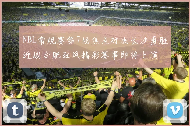 NBL常规赛第7场焦点对决长沙勇胜迎战合肥狂风精彩赛事即将上演